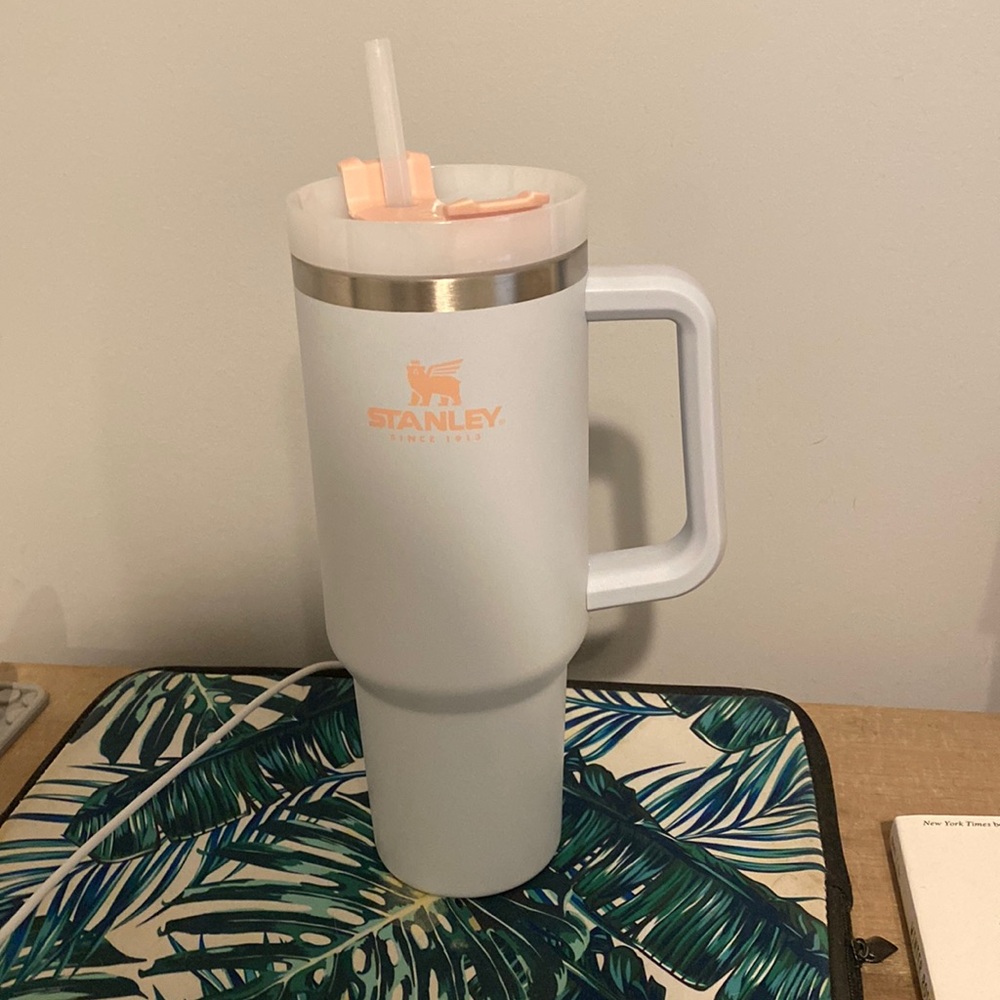 Stanley tumbler 40oz in the color cloud